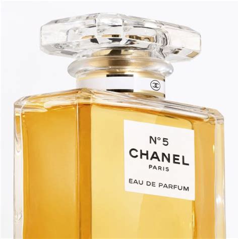 www chanel perfume|chanel perfume cheapest price.